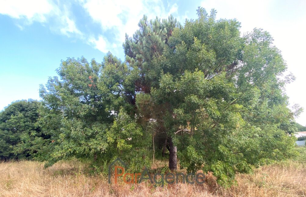 Property view 4