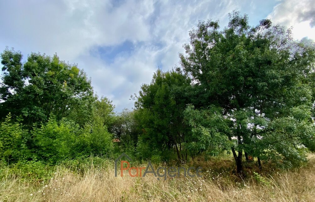 Property view 5