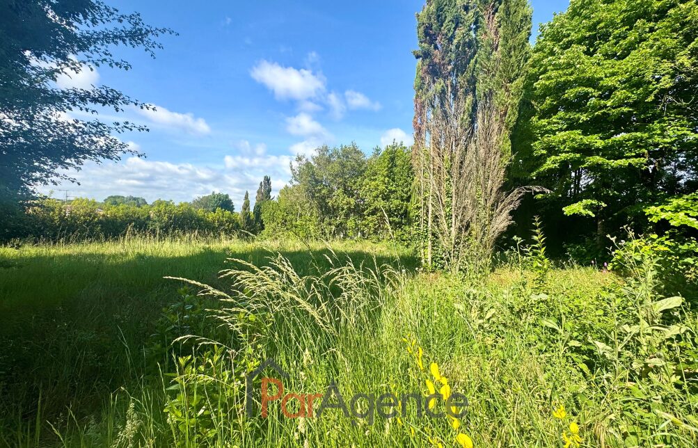 Property view 2