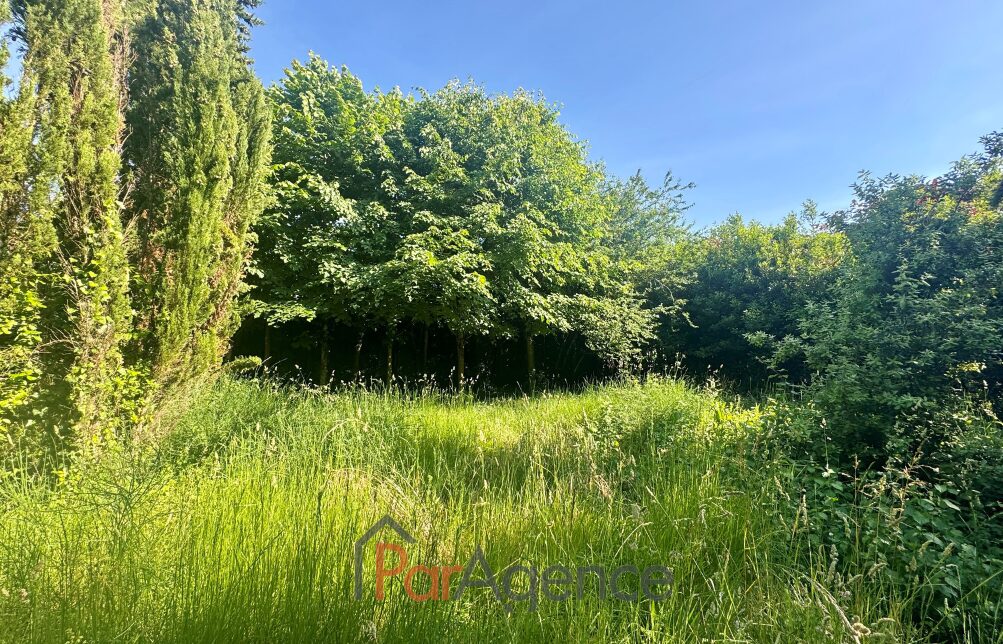 Property view 4