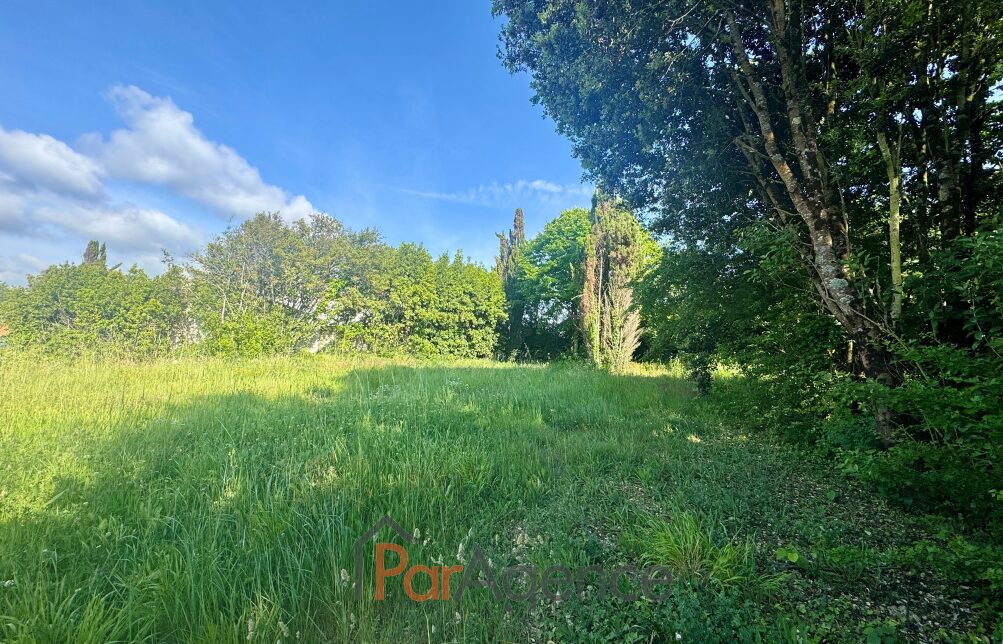 Property view 5