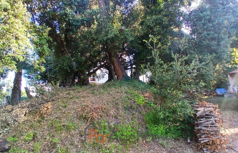 Property view 4
