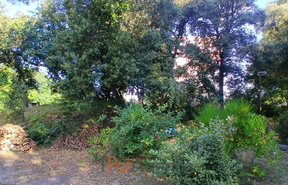Property view 5
