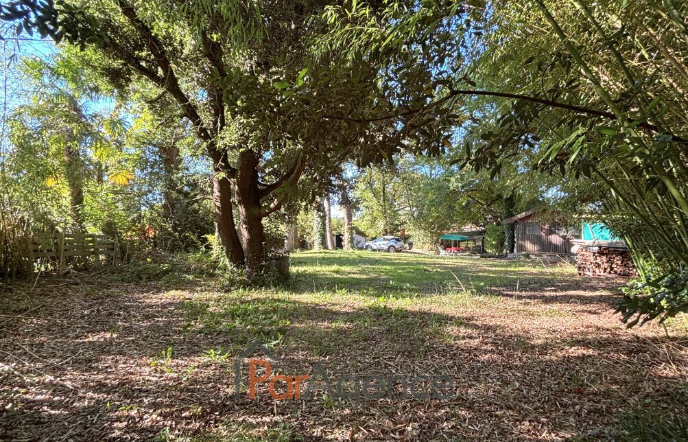 Property view 5